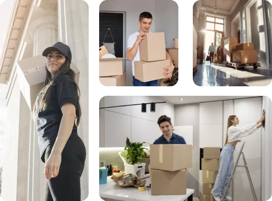 mover move stuff