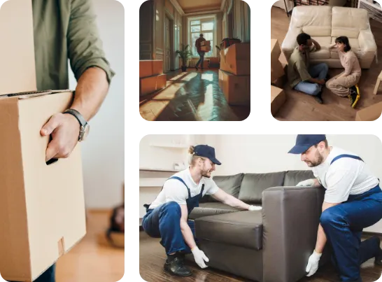 mover move stuff