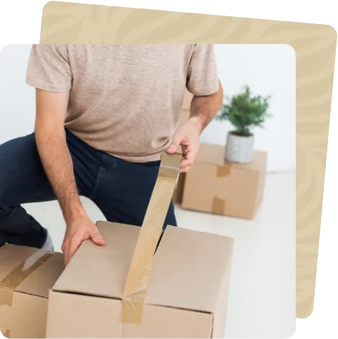 professional Movers LLc moving box